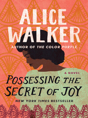 cover image of Possessing the Secret of Joy